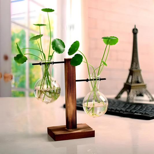Eco-Friendly Hydroponic Decor Vases